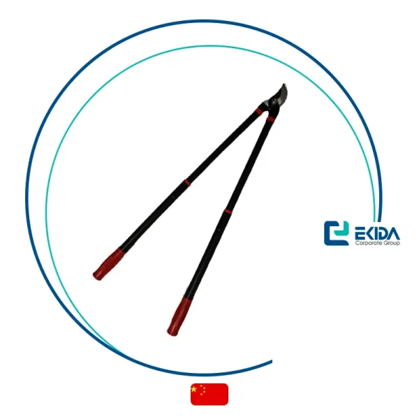 قیچی شاخه زن تلسکوپی رانگ