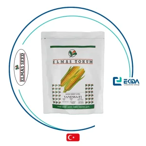 بذر ذرت شیرین وانسا