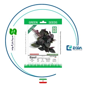 بذر ریحان بنفش گرین سیدز