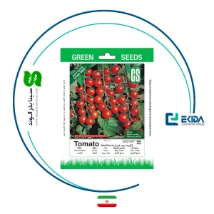 بذر گوجه گیلاسی گرین سیدز