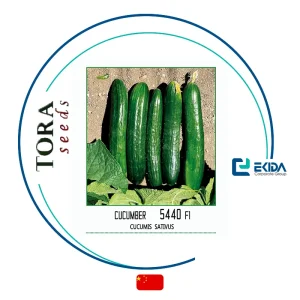 بذر خیار 5440 تورا