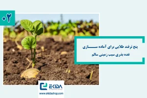 آماده سازی غده بذری سیب زمینی