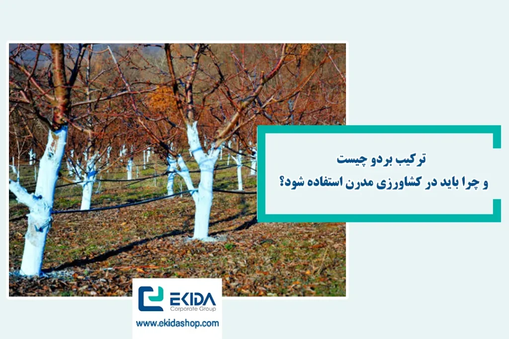 آشنایی با ترکیب بردو