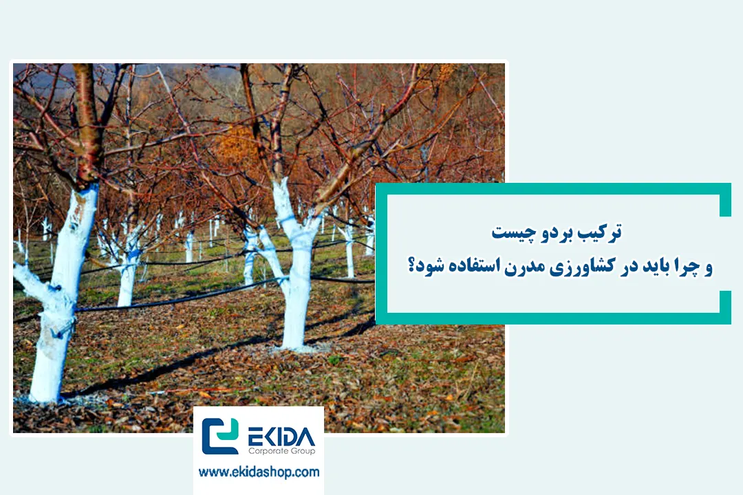 آشنایی با ترکیب بردو