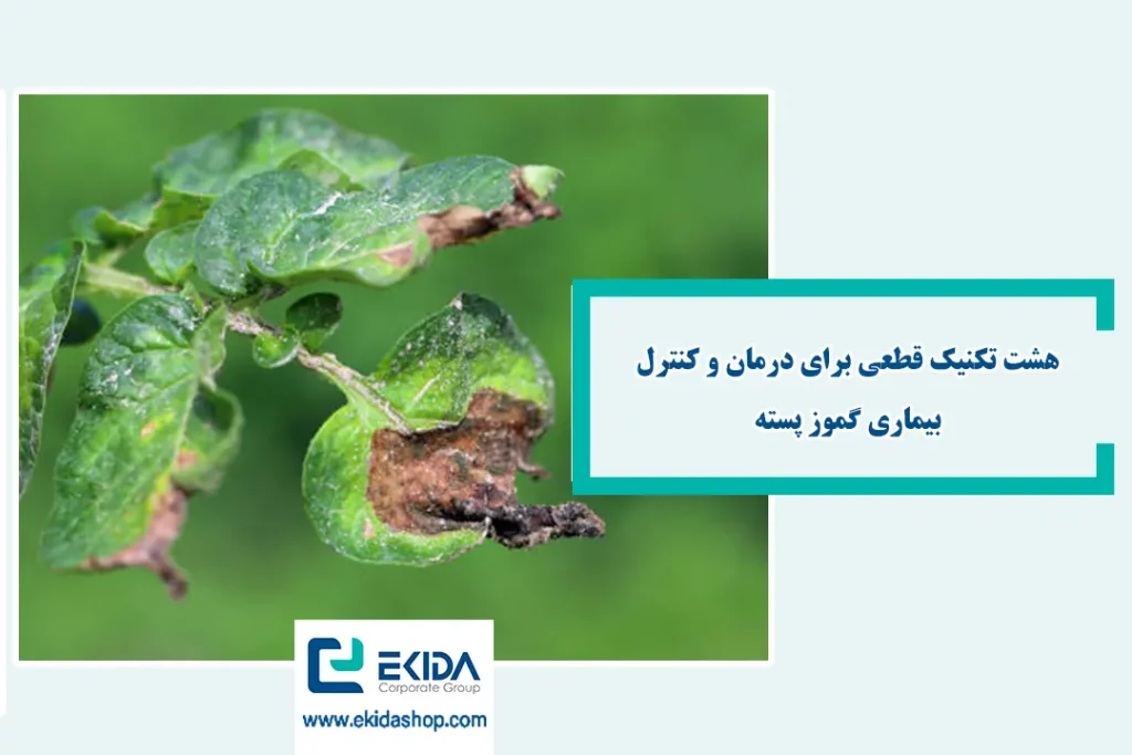 معرفی بیماری گموز پسته