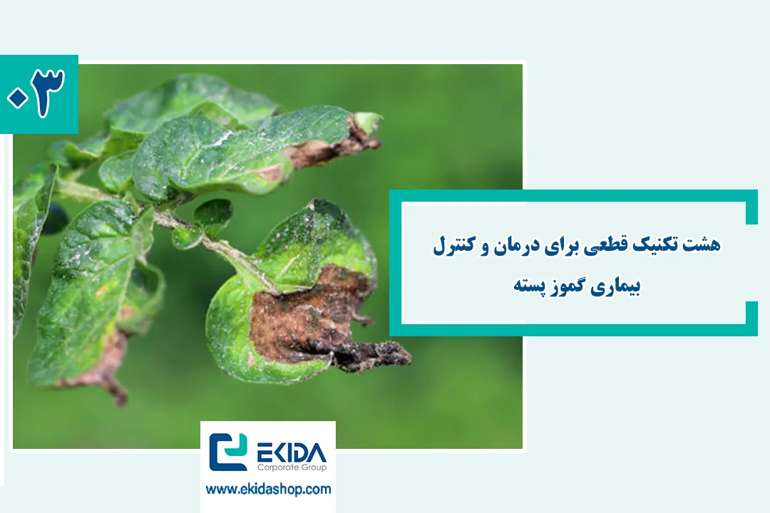 بیماری گموز پسته