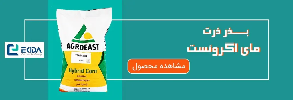 بذر ذرت مای اگروئست