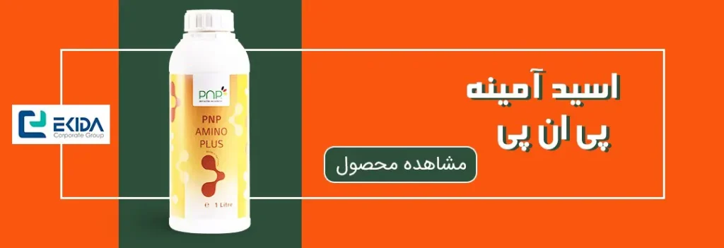 خرید اسید آمینه