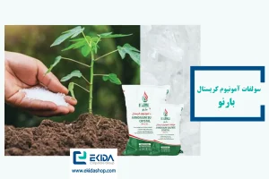 کود سولفات آمونیوم کریستال بارنو