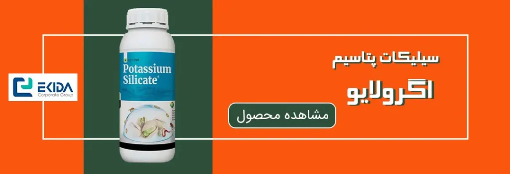 سیلیکات پتاسیم