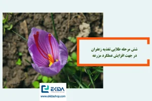 برنامه اصولی تغذیه زعفران