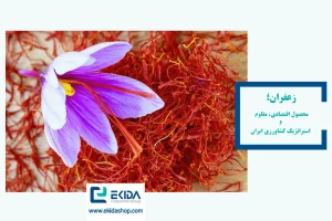 محصول استراتژیک زعفران