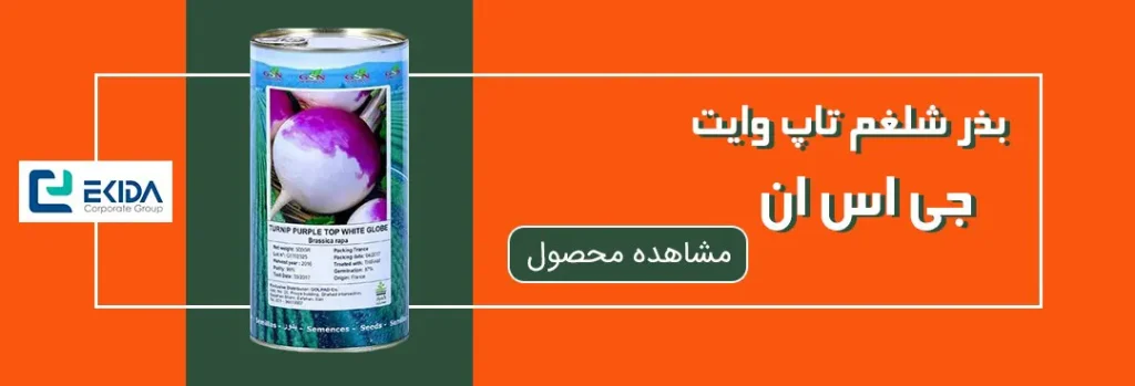 خرید بذر شلغم