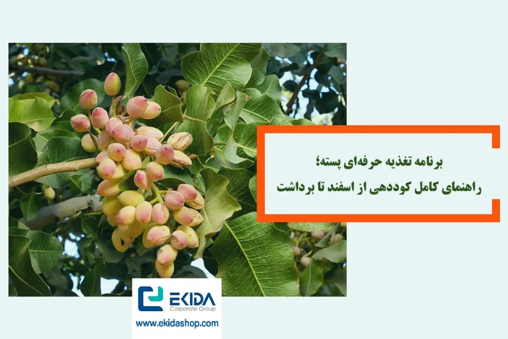 برنامه تغذیه پسته