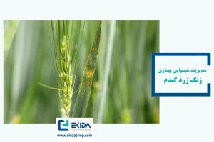 مدیریت شیمیایی بیماری زنگ زرد گندم