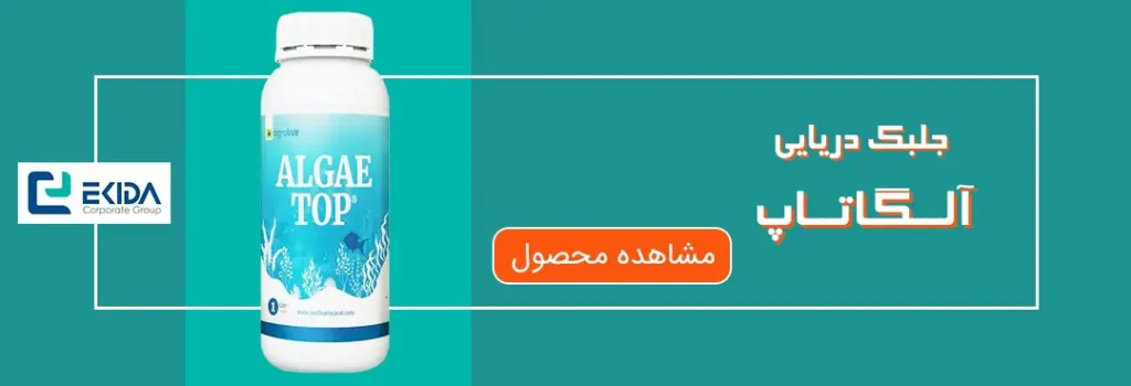 خرید جلبک دریایی آلگاتاپ