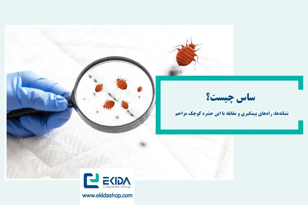 آشنایی با ساس