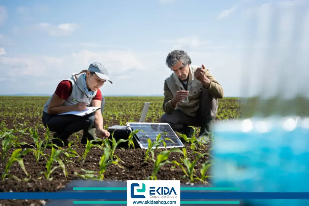 آزمون برگ و خاک