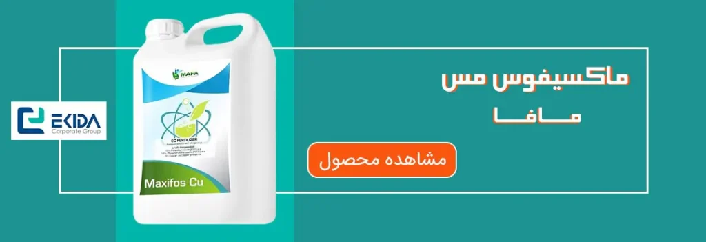 خرید ماکسیفوس مس