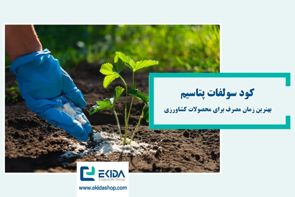 بهترین زمان خرید کود سولفات پتاسیم
