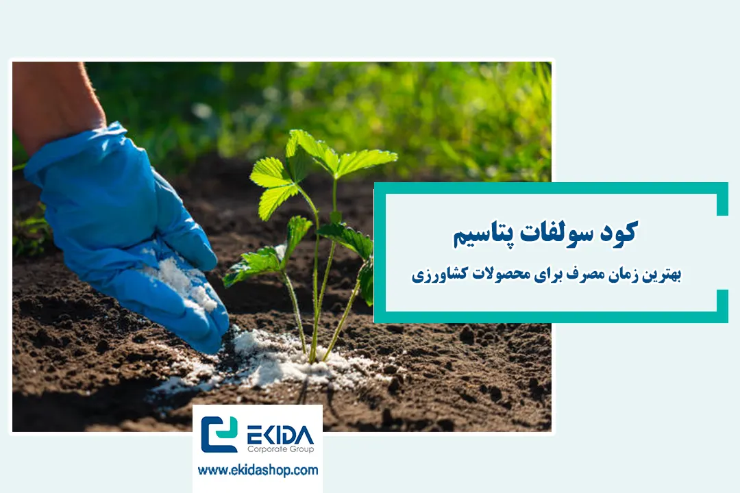 بهترین زمان خرید کود سولفات پتاسیم