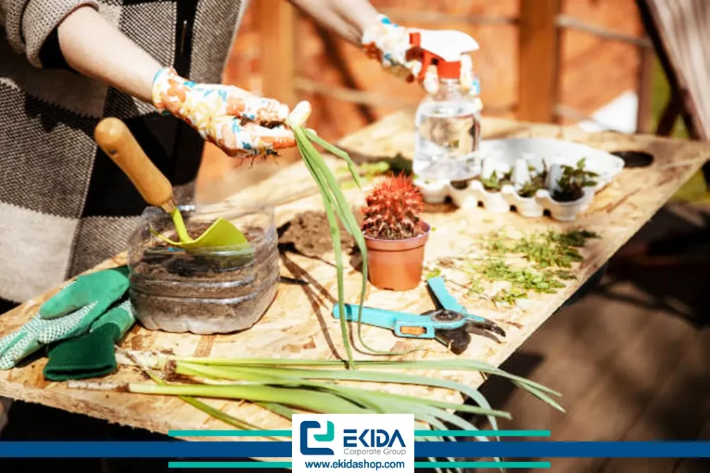 مراحل تعویض گلدان