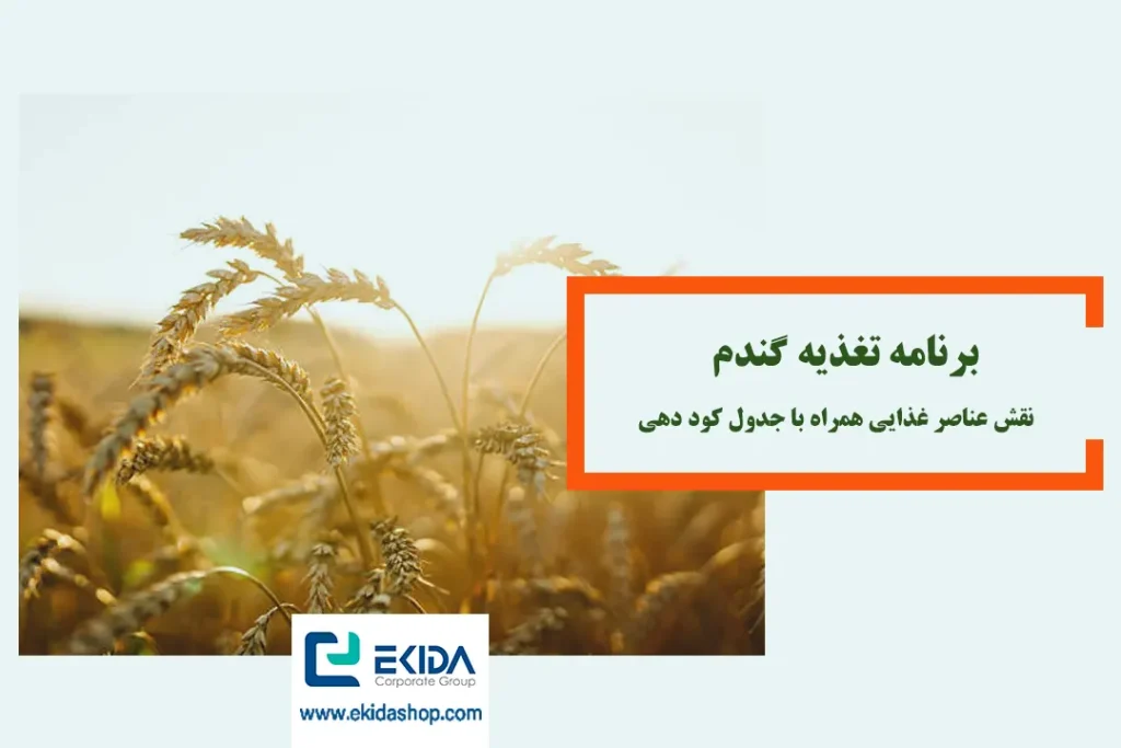 برنامه تغذیه گندم