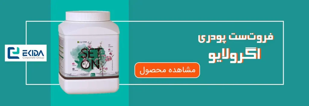 خرید فروت ست پودری