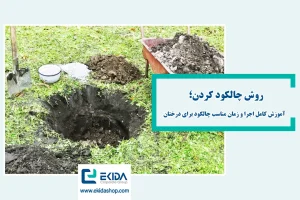 روش چالکود