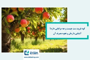 معرفی کود فروت ست