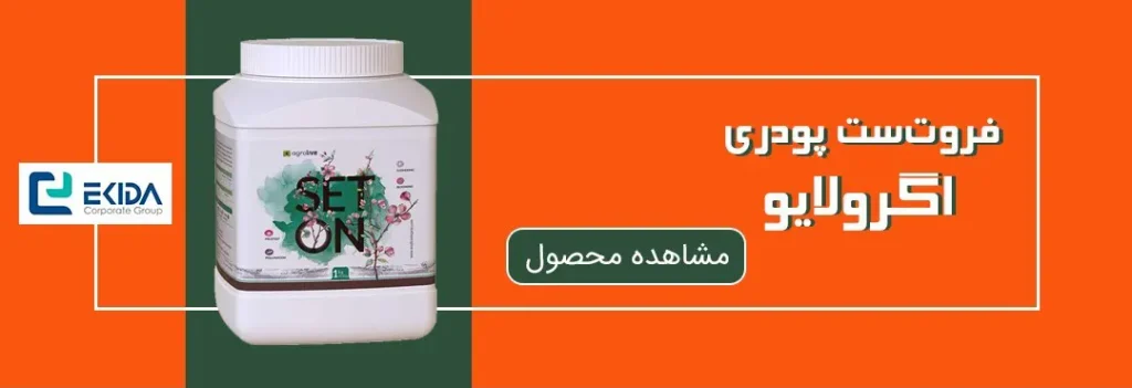 خرید فروت ست پودری