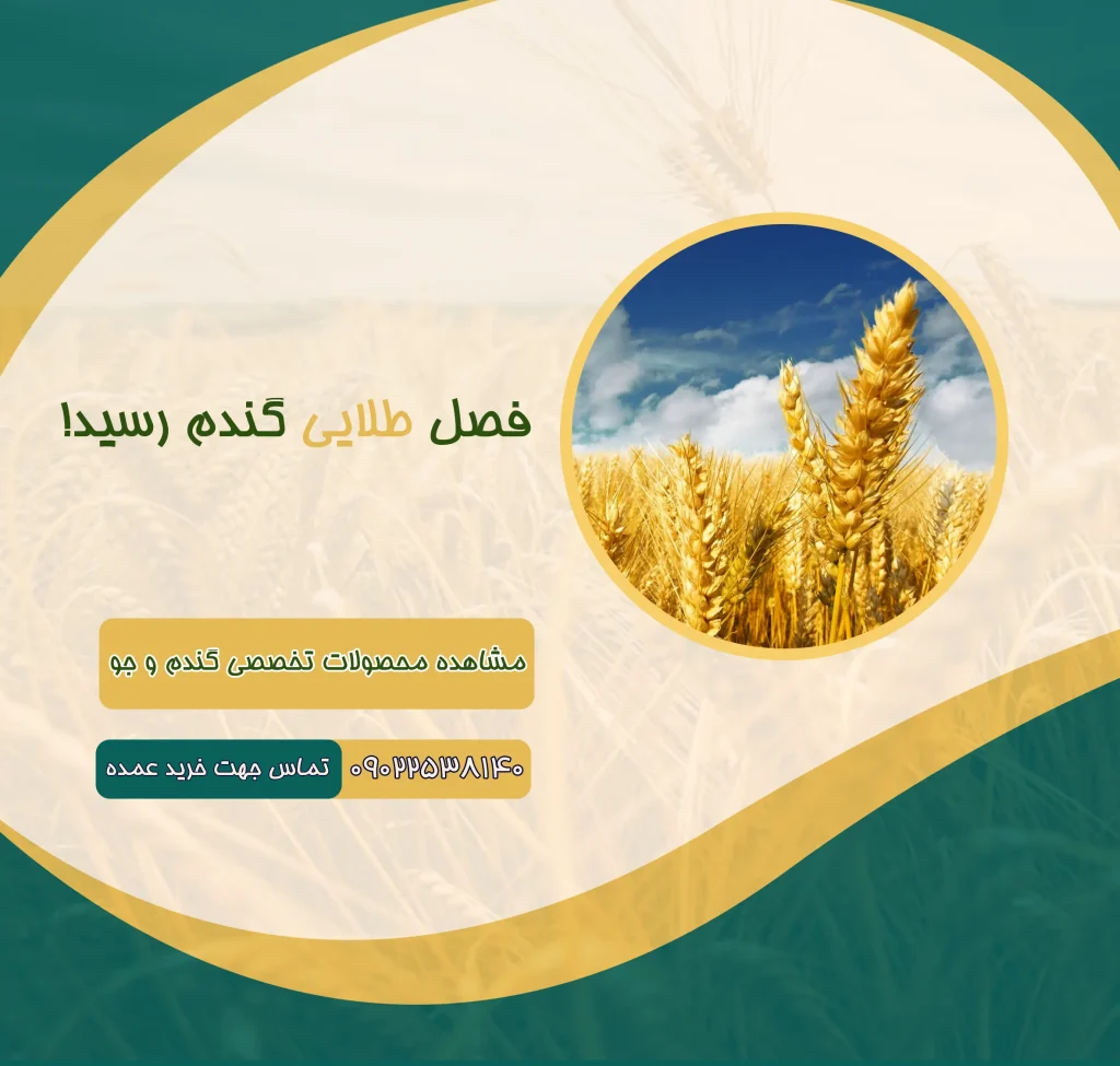 بنر گندم موبایل