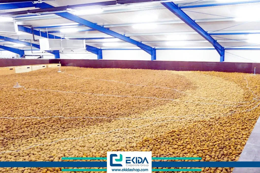انبار سیب زمینی