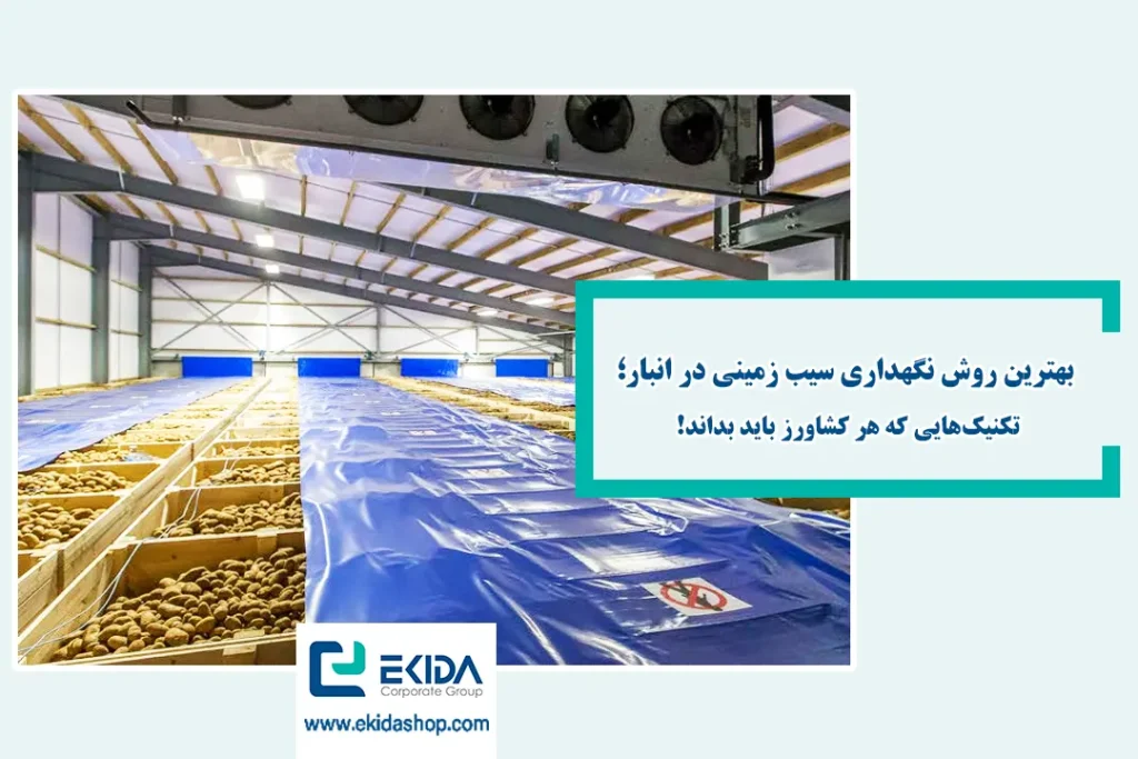 تکنیک نگهداری سیب زمینی در انبار