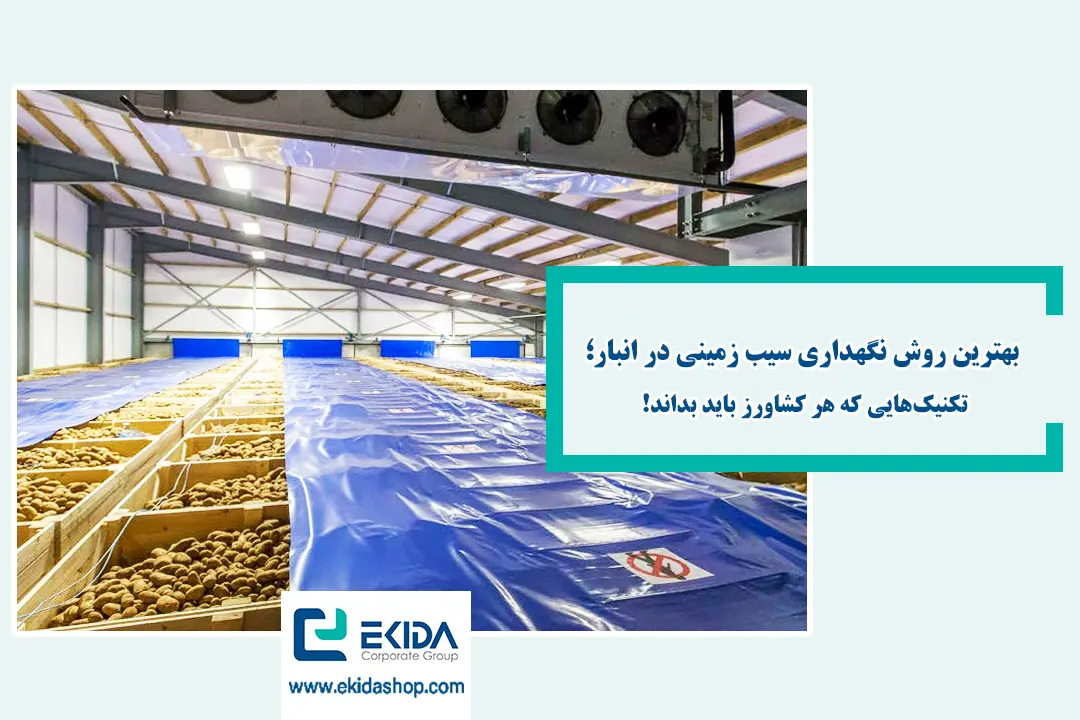 تکنیک نگهداری سیب زمینی در انبار
