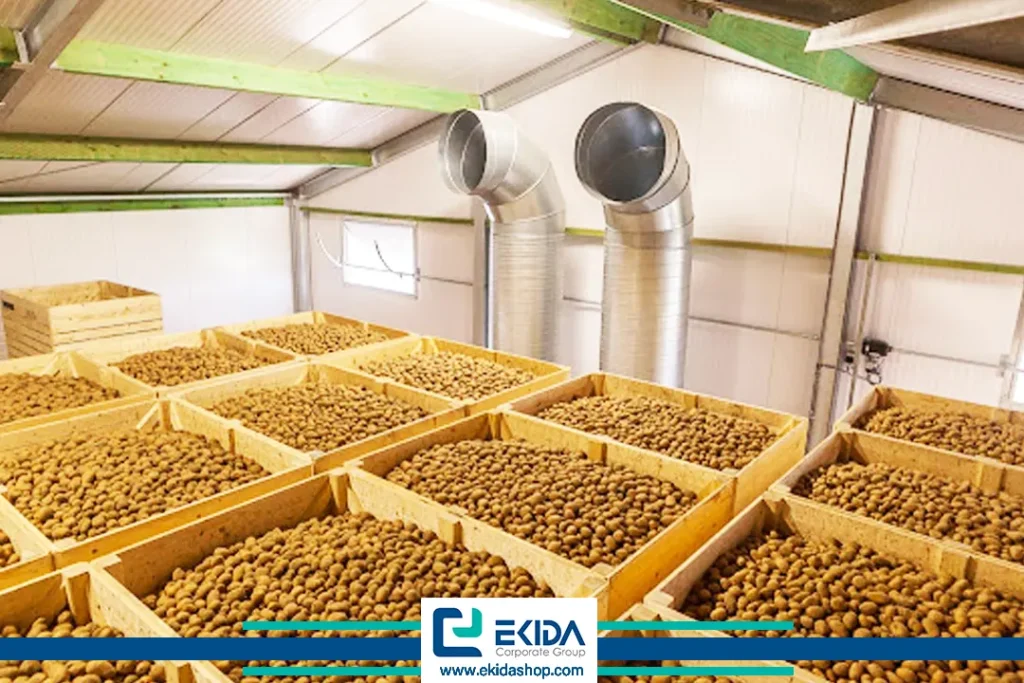 اصول انبار سیب زمینی
