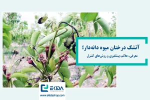 آتشک درختان میوه دانه دار