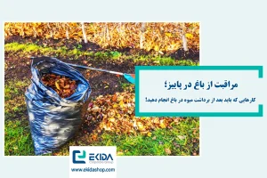 مراقبت از باغ در پاییز
