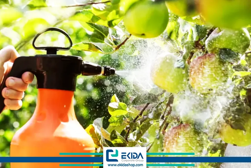 مراقبت درختان میوه در پاییز