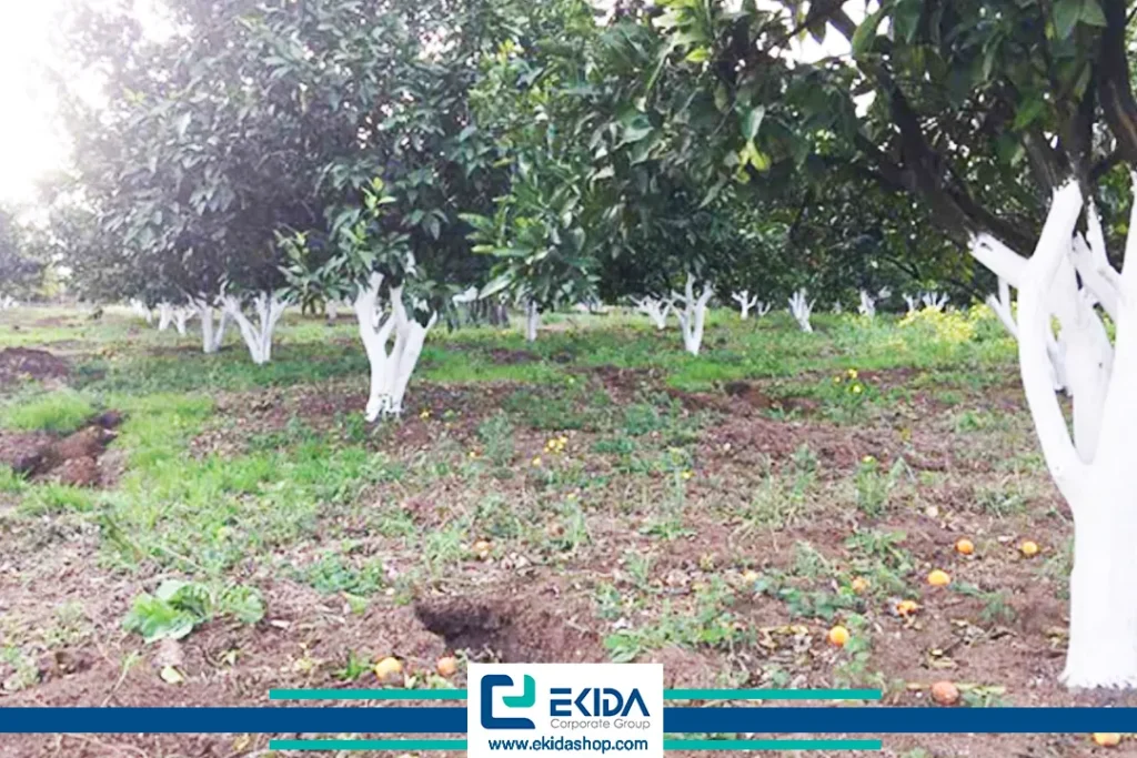 استفاده از بردوسیف برای درختان