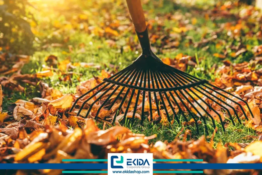 جمع‌آوری برگها در پاییز