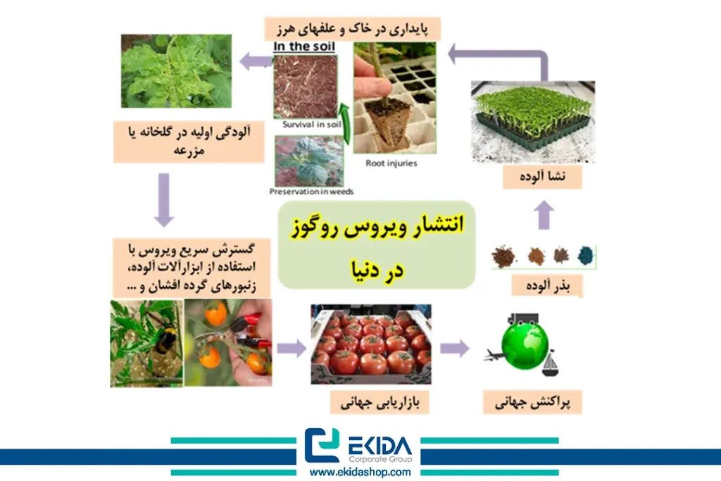انتشار ویروس روگوز در دنیا