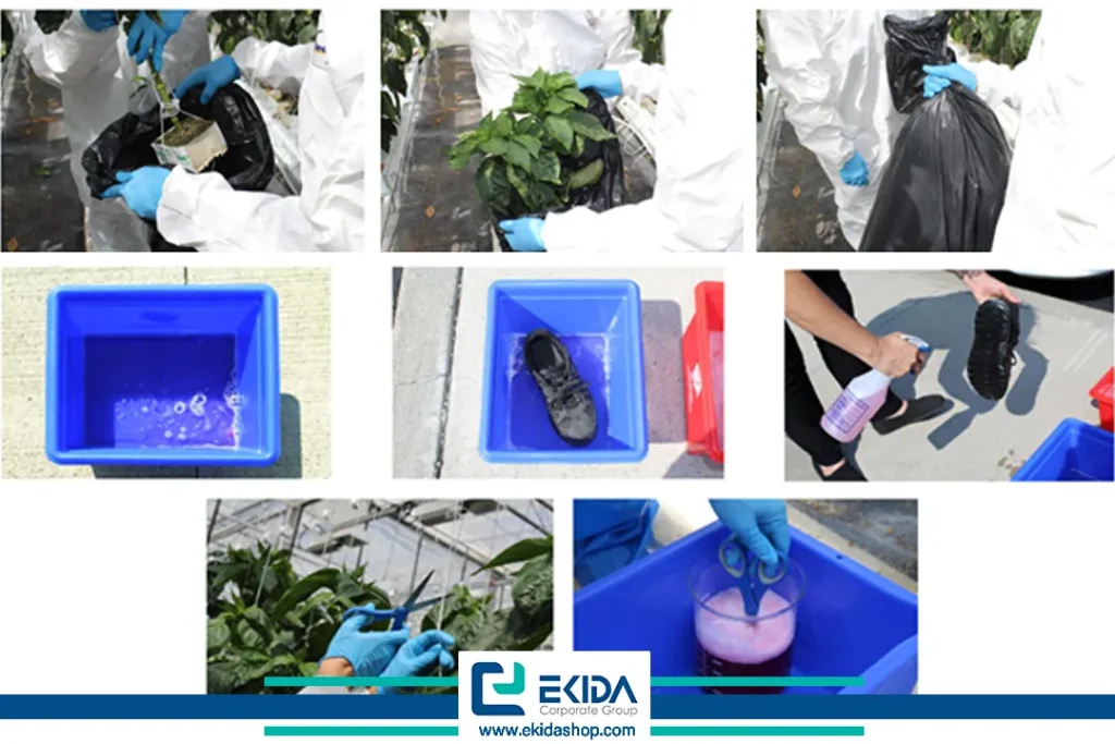 پیشگیری از روگوز