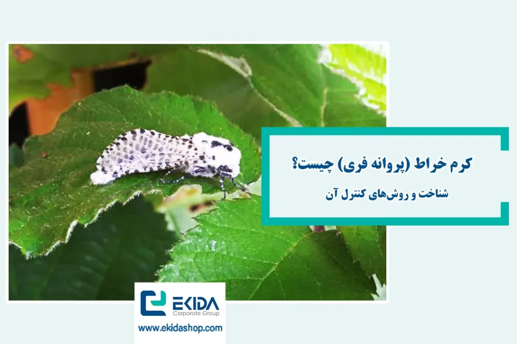 کرم خراط چیست؟