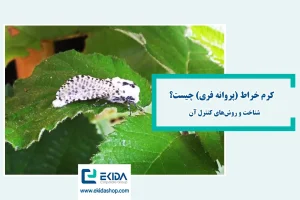 کرم خراط چیست؟