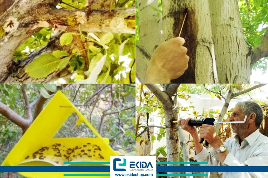 روشهای کنترل کرم خراط