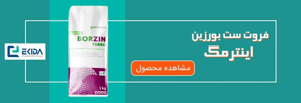 خرید فروت ست بورزین