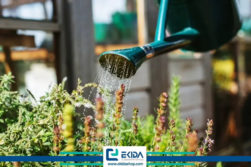 مراقبت از گیاهان