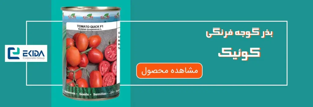 خرید بذر گوجه فرنگی