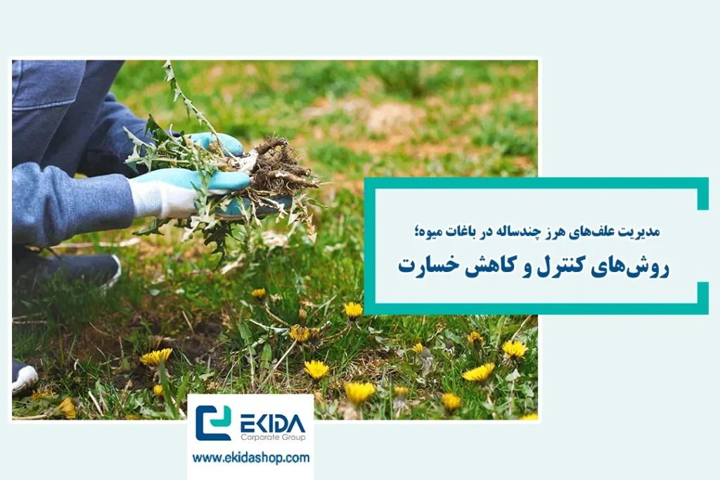 علف هرز باغات